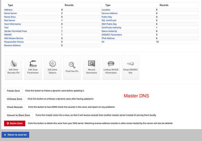 master-dns