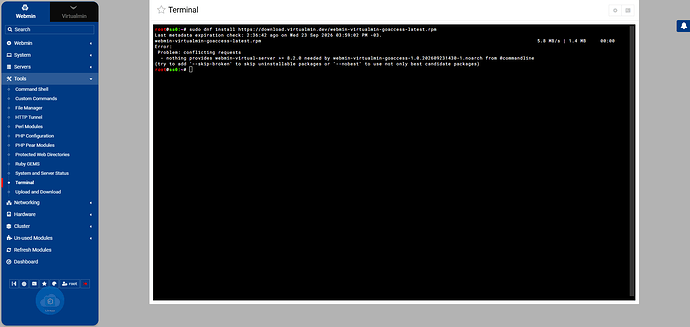 Terminal — Webmin 2.670 on ss0.li9 (AlmaLinux 9.8) (23.09.2026 18_36)
