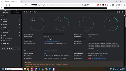 How it looks when the Nginx Virtualmin config is is disabled (How it is intended to)