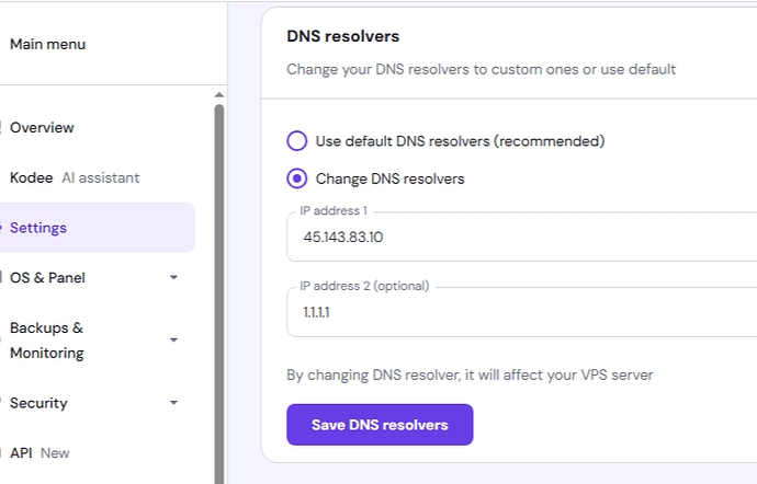 Settings _ Resolvers DNS (25.03.2025 16_21)
