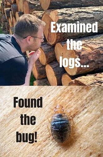 615408003_2747058342326751_7593012160681296802_n