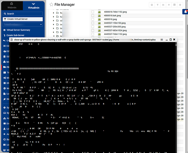 photo previewer in file manager