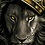 LionKing